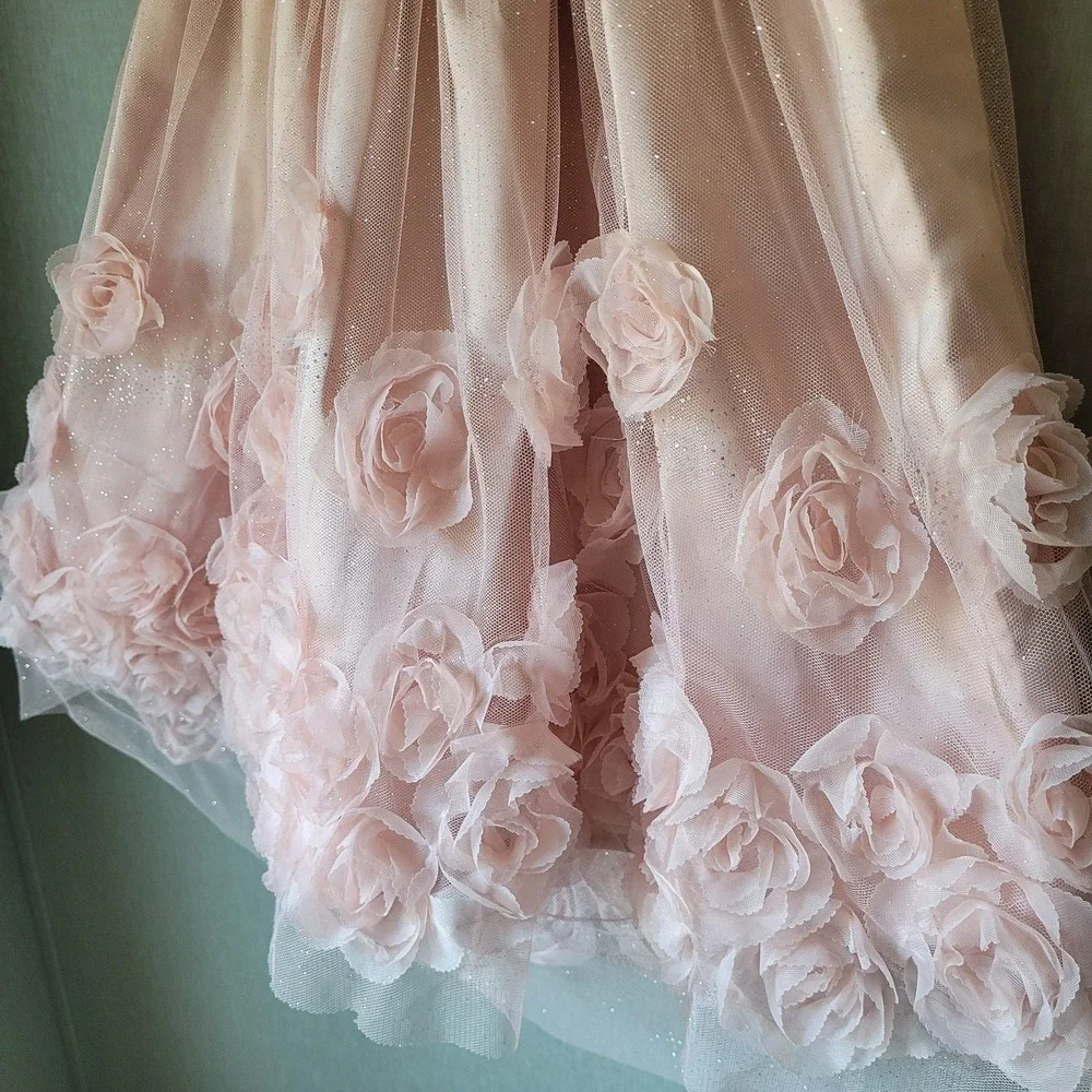 Nannette‎ Kids Girls Size 10 Dress Blush Pink 3D Rosette Tulle Formal Wedding